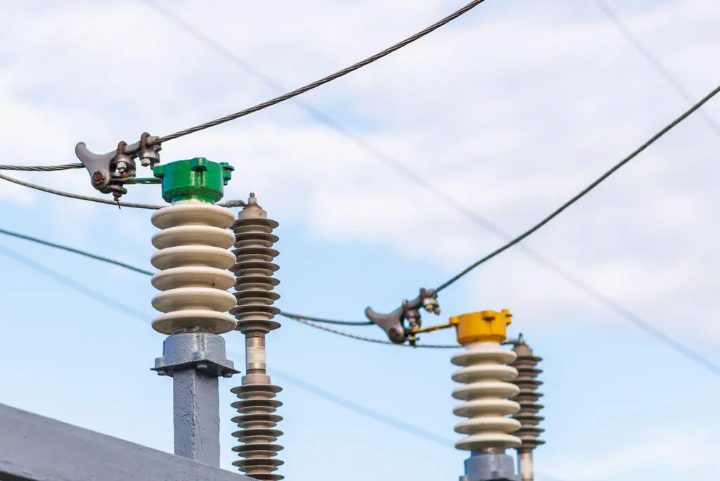 คู่มือเลือกซื้อลูกถ้วยไฟฟ้าสำหรับฝ่ายจัดซื้อ